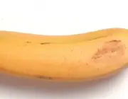 Tipos de Banana 2