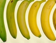Tipos de Banana 3