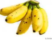 Tipos de Banana 4