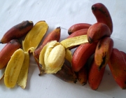 Tipos de Banana 5