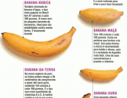 Tipos de Bananas 3