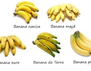 Tipos de Bananas 5