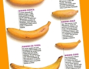Tipos de Bananas 6