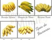 Tipos de Bananas 1