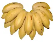 Banana Maça