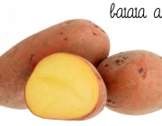 Tipos de Batata 1