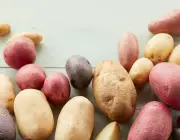 Tipos de Batatas 2