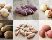 Tipos de Batatas 4