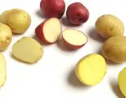 Tipos de Batatas 6