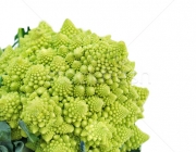Tipos de Brócolis Americano 3