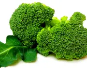 Tipos de Brócolis Americano 5