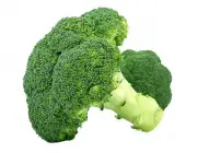 Tipos de Brócolis 4