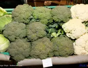 Tipos de Brócolis 6