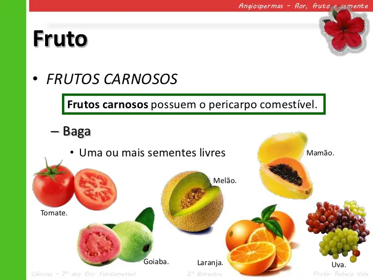Tipos de Frutos 1