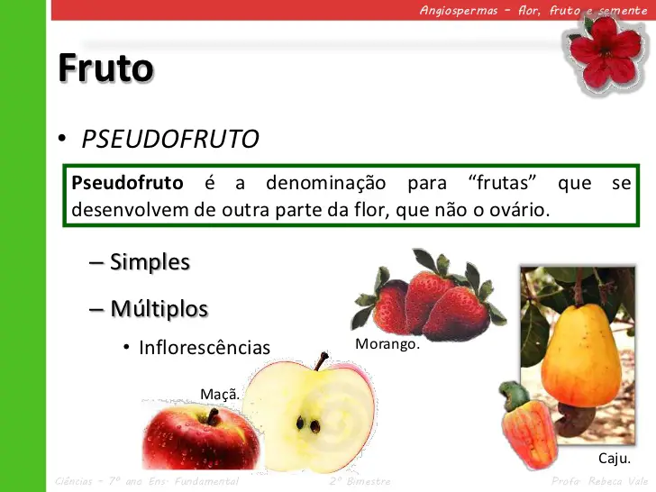 Tipos de Frutos 2