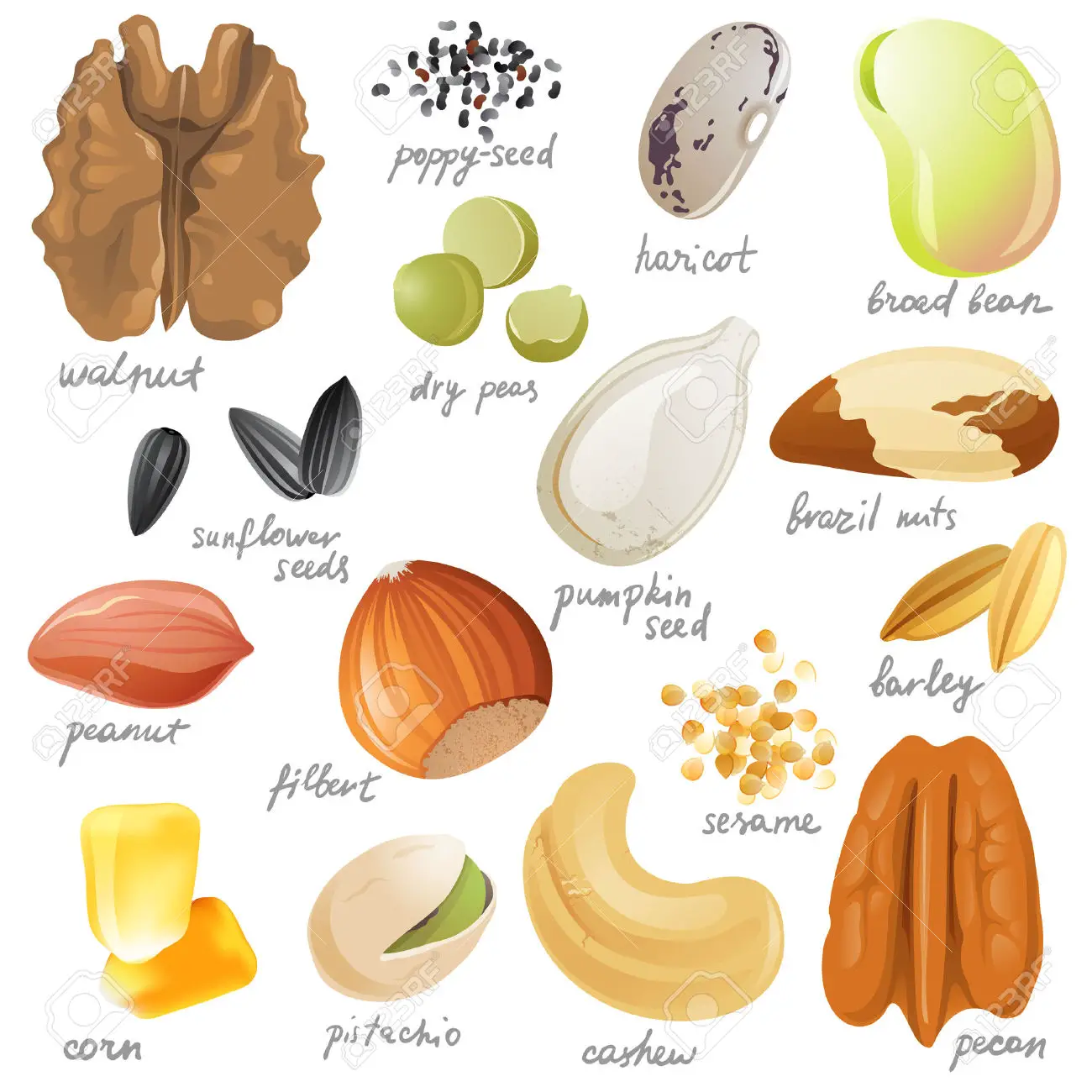 Tipos de Frutos 6