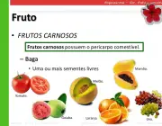 Tipos de Frutos 1