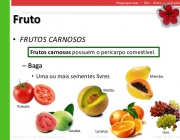 Tipos de Frutos 1