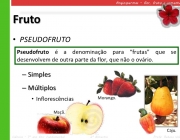 Tipos de Frutos 2