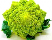 Tipos Diferentes de Brócolis 4