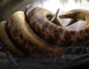 Titanoboa 4