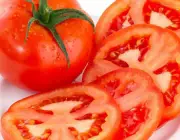 Tomate 6