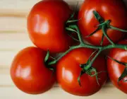 Tomate 6
