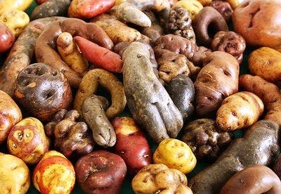 Batata é Legume ou Verdura? | Mundo Ecologia