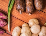 Vegetables over wooden table