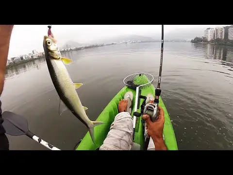 Ubarana - Pesca Esportiva 6
