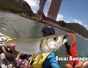 Ubarana - Pesca Esportiva 3