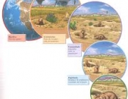 Um Ecossistema em Evolução 4