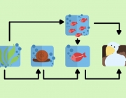 Um Ecossistema em Evolução 6