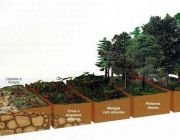 Um Ecossistema em Evolução