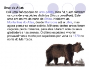 Urso Atlas 5