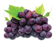 Uvas 1