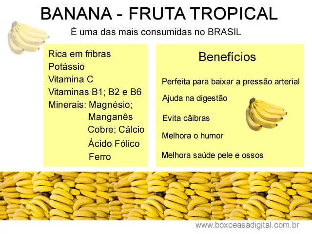 Valor Nutritivo da Banana 4