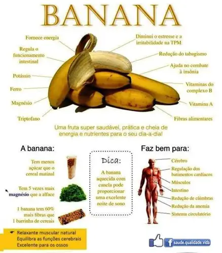 Valor Nutritivo da Banana 6
