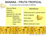 Valor Nutritivo da Banana 4