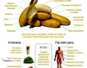 Valor Nutritivo da Banana 6