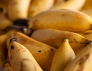 Variedades de Banana 1