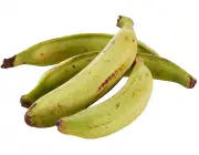 Variedades de Banana 6