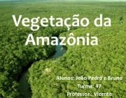 Vegetação da Amazônia 1