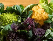 Cauliflowers and broccoli