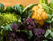 Cauliflowers and broccoli