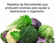 Vegetais Crucíferos 4