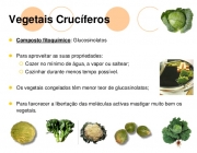 Vegetais Crucíferos 6