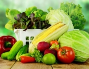 Vegetais Nutritivos 3