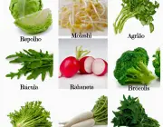 Vegetais Nutritivos 5