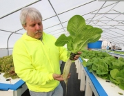 Mark Schultz was inspired to try hydroponic food production by a piece of spam.